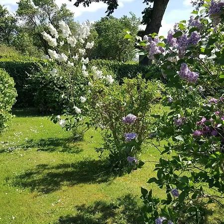 Ferienwohnung-kastanienblick Thesenvitz
